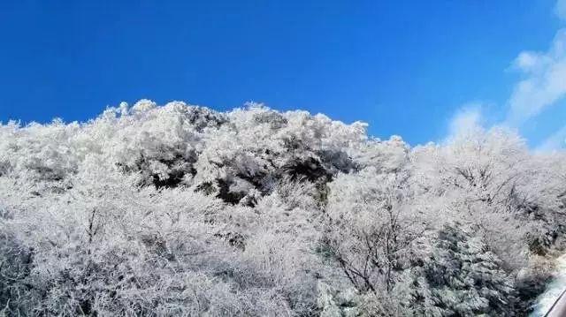 召唤神龙万宁版祖龙