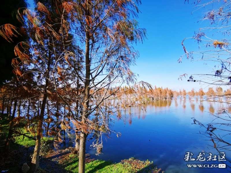 好久不见,我的朋友。?-最全面的有问必答平台