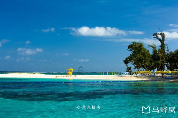 了解哪些食物没炒熟就食用可能会有生命危险?,加入知识星球平台